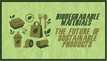 Biodegradable Materials: The Future of Sustainable Products
