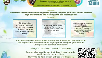 Summer Camp 